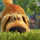 Dug the dog.